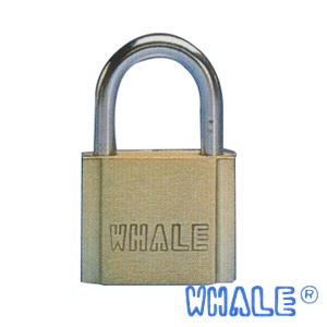 Padlock, Brass Padlock for Monitor Wells, Dolphin Lock, Brass Padlock